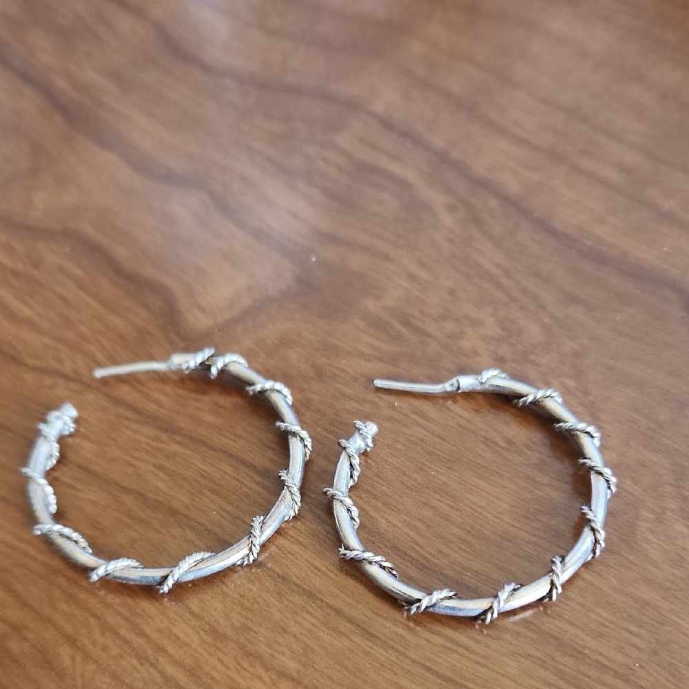 Elegant Silver Hoop Earrings